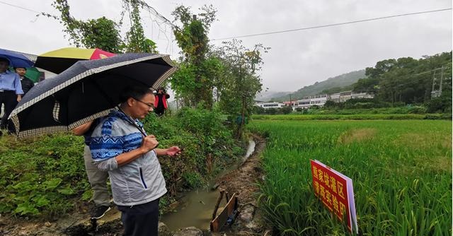 省水利厅农水处黄林春副处长指导我市农田灌溉水有效利用系数测算工作