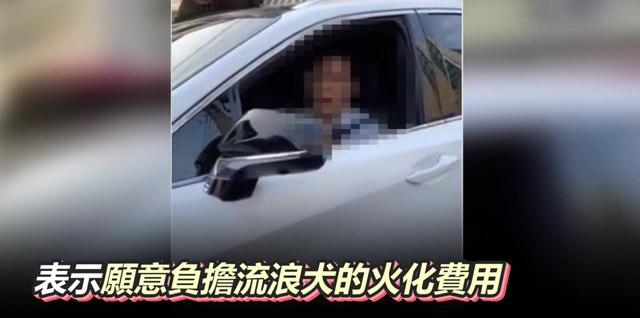 男子开百万豪车撞死狗，狡辩“畜生不算命”，防疫所：将依法处罚