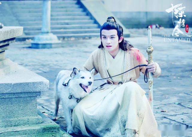 陈情令167：江澄明明是直男，为何取名很女孩子气，或许这是原因