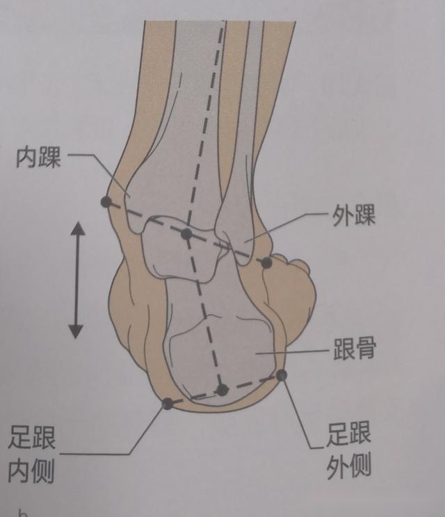 刘涛也内八字？X型腿如何破？做好这2步细直疏影腿你也有