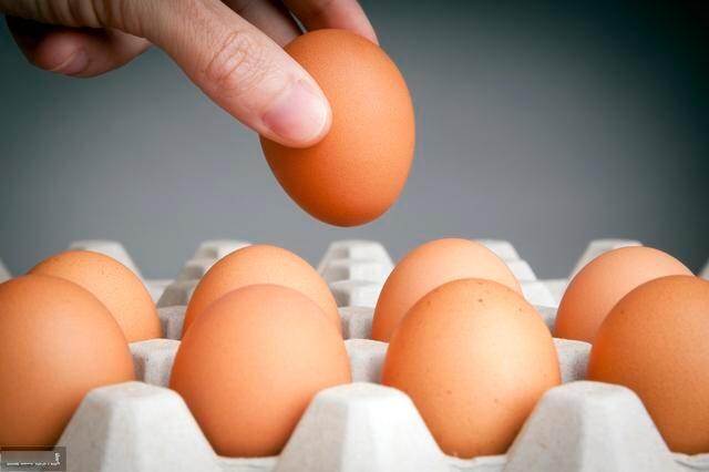 1天5个鸡蛋就能瘦 不节食不反弹 热量不超标 减肥就这么吃