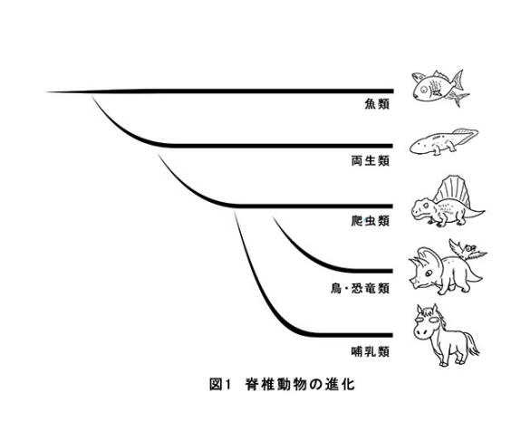 如何学会人体结构呢